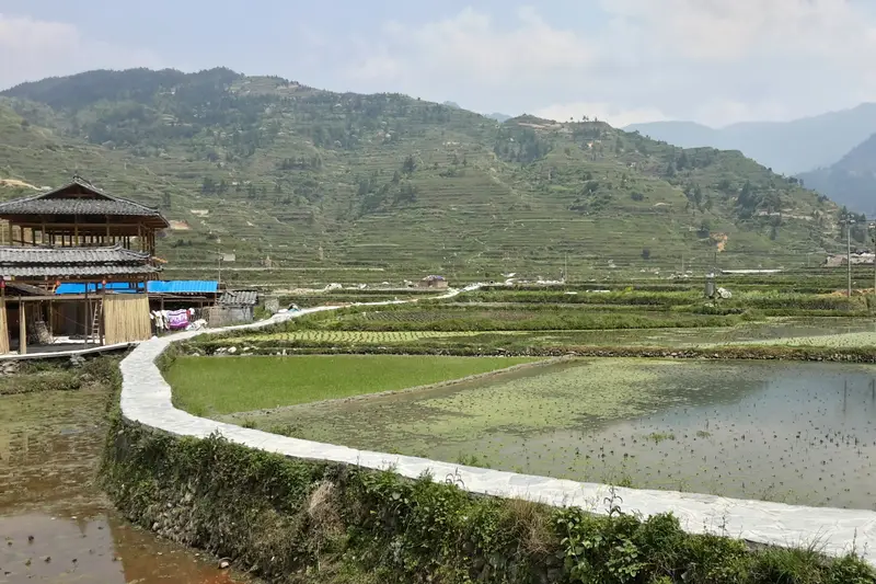 Terraced rice fields and wooden Miao village houses, Guizhou