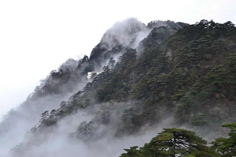 Granite peaks and ancient pines of Huangshan, Yellow Mountain