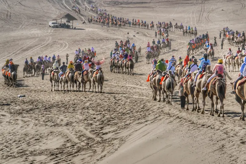 Camel caravan in Dunhuang dunes