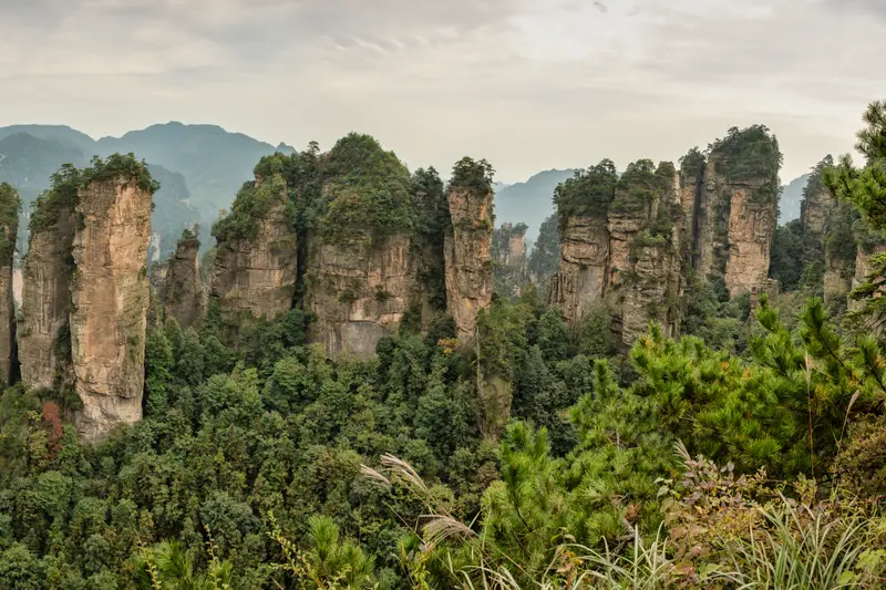 Zhangjiajie sandstone pillars